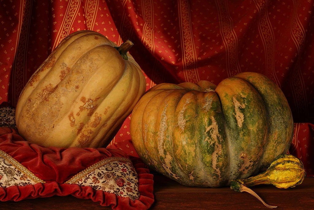 Still life